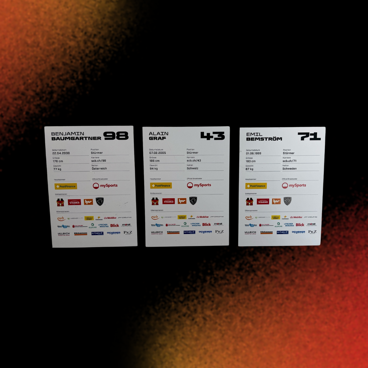 Autogrammkarten-Set 26/27 Männer