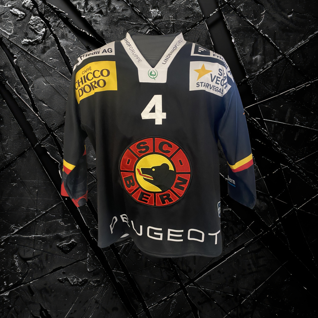 Gameworn Trikot von Häman Aktell