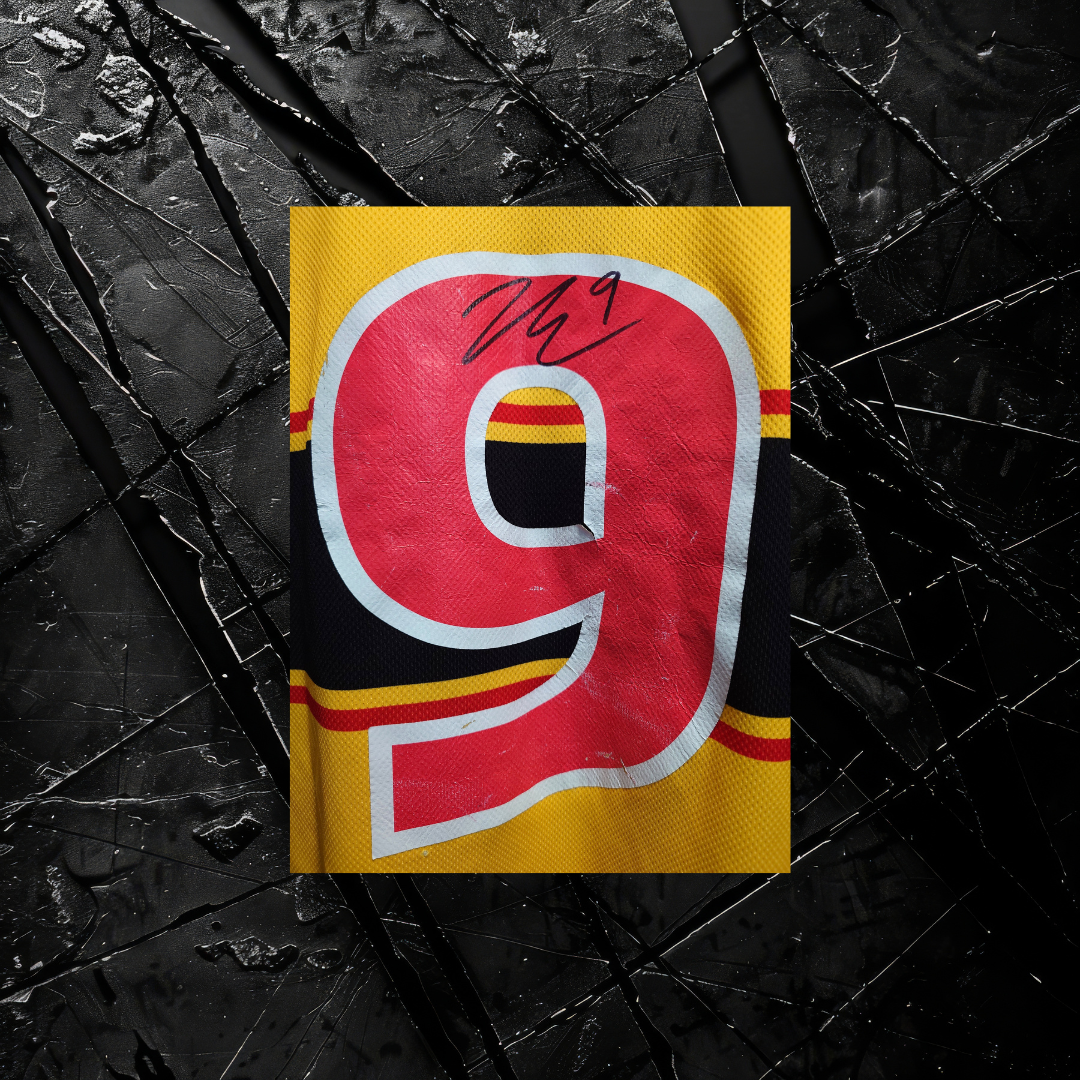 SC Bern Trainingstrikot #9
