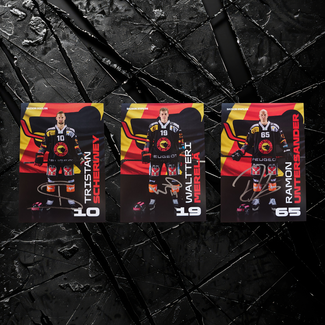 SCB Autogrammkarten-Set 25/26 Männer