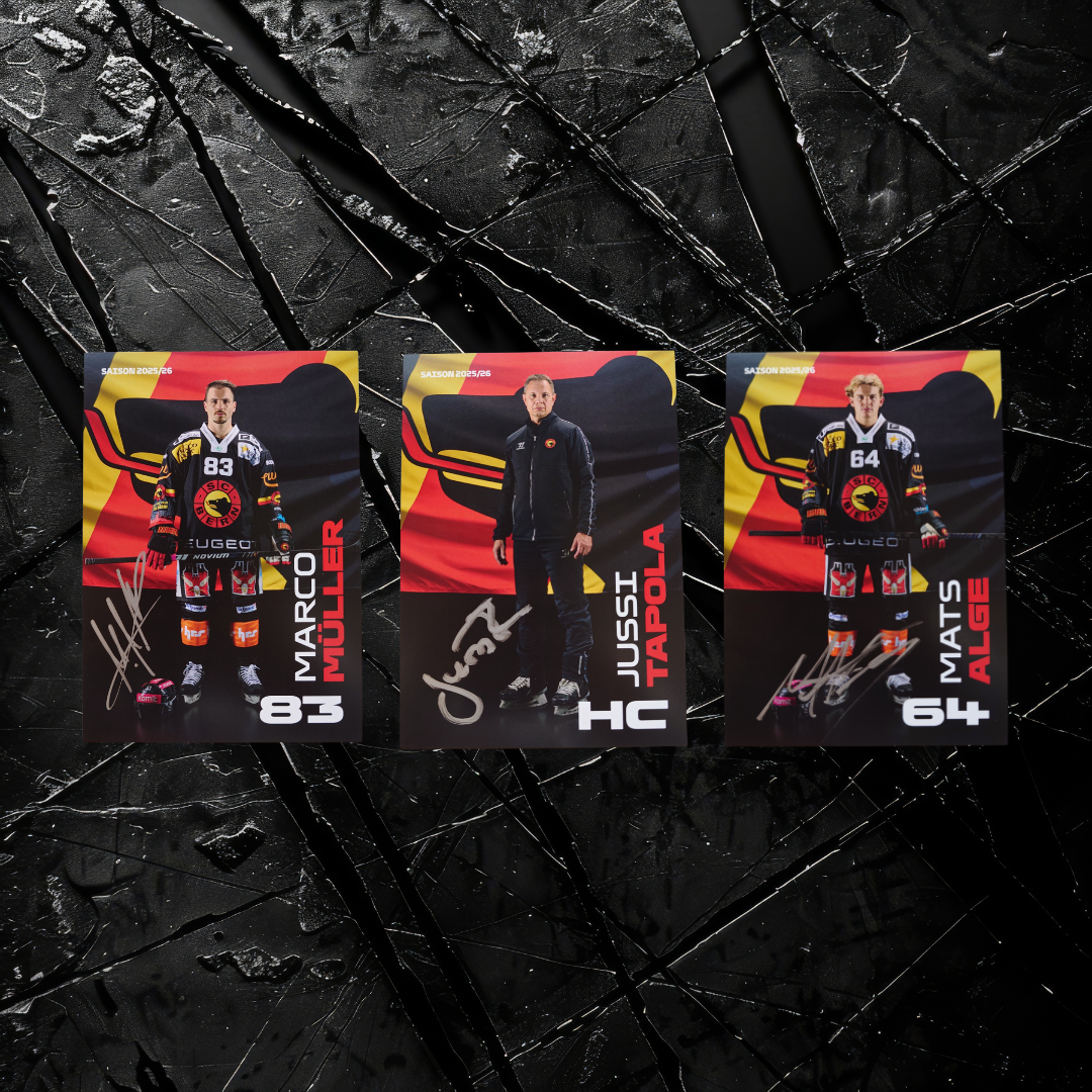 SCB Autogrammkarten-Set 25/26 Männer