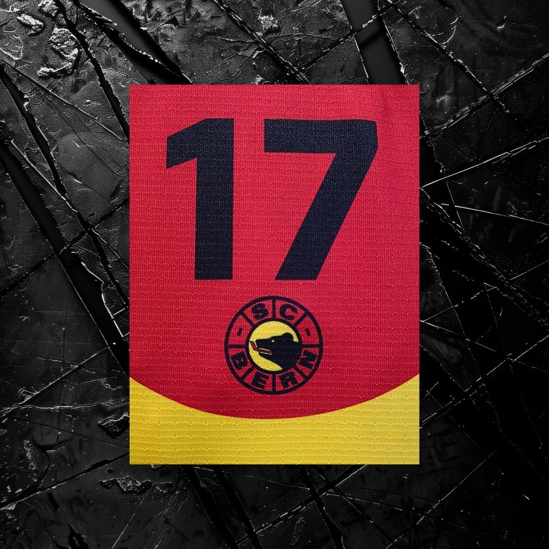 Matchworn Dress Jubiläumsspiel #17 Levin Moser