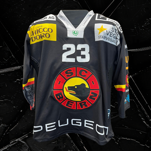 Gameworn Dress Marco Lehmann