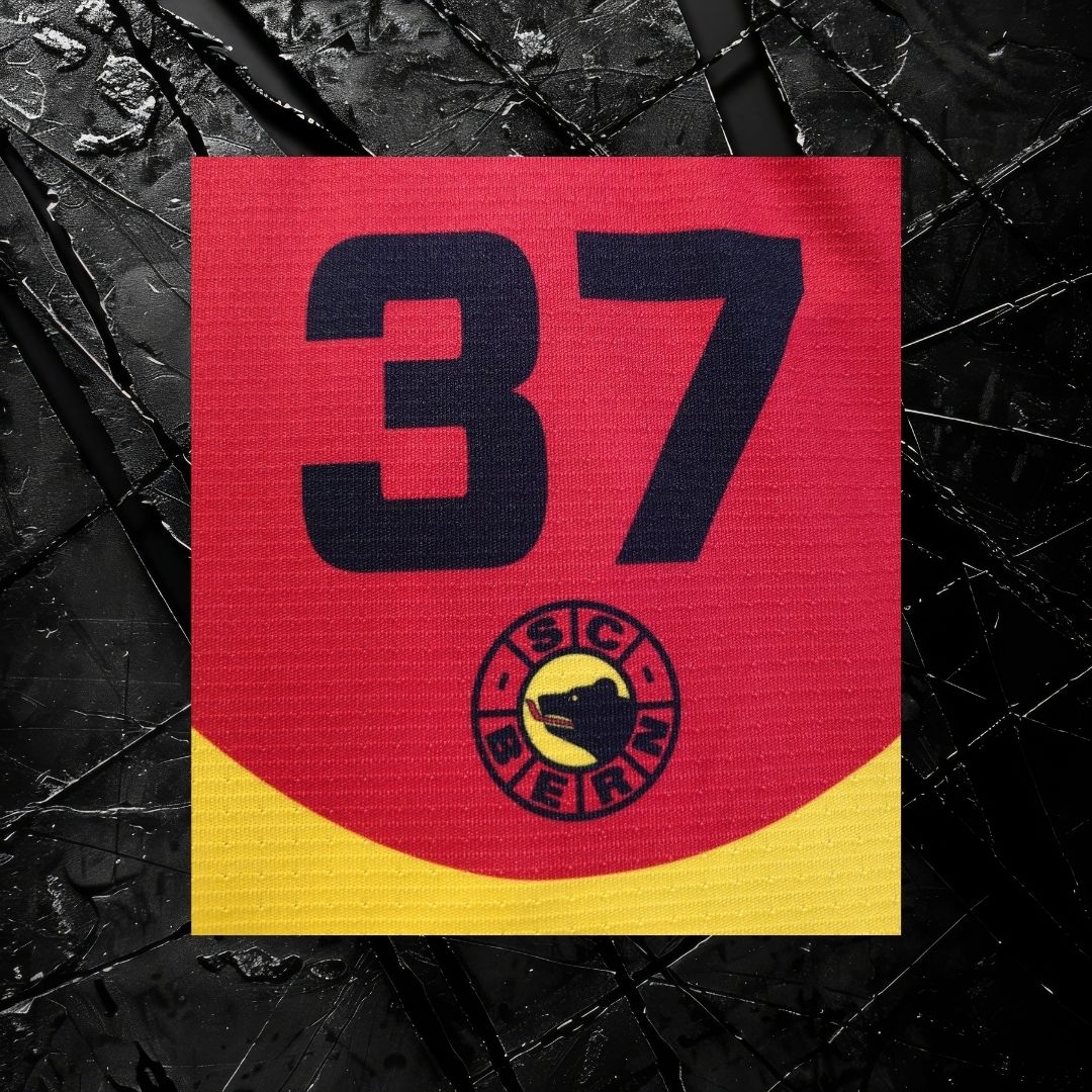 Matchworn Dress Jubiläumsspiel #37 Anton Lindholm