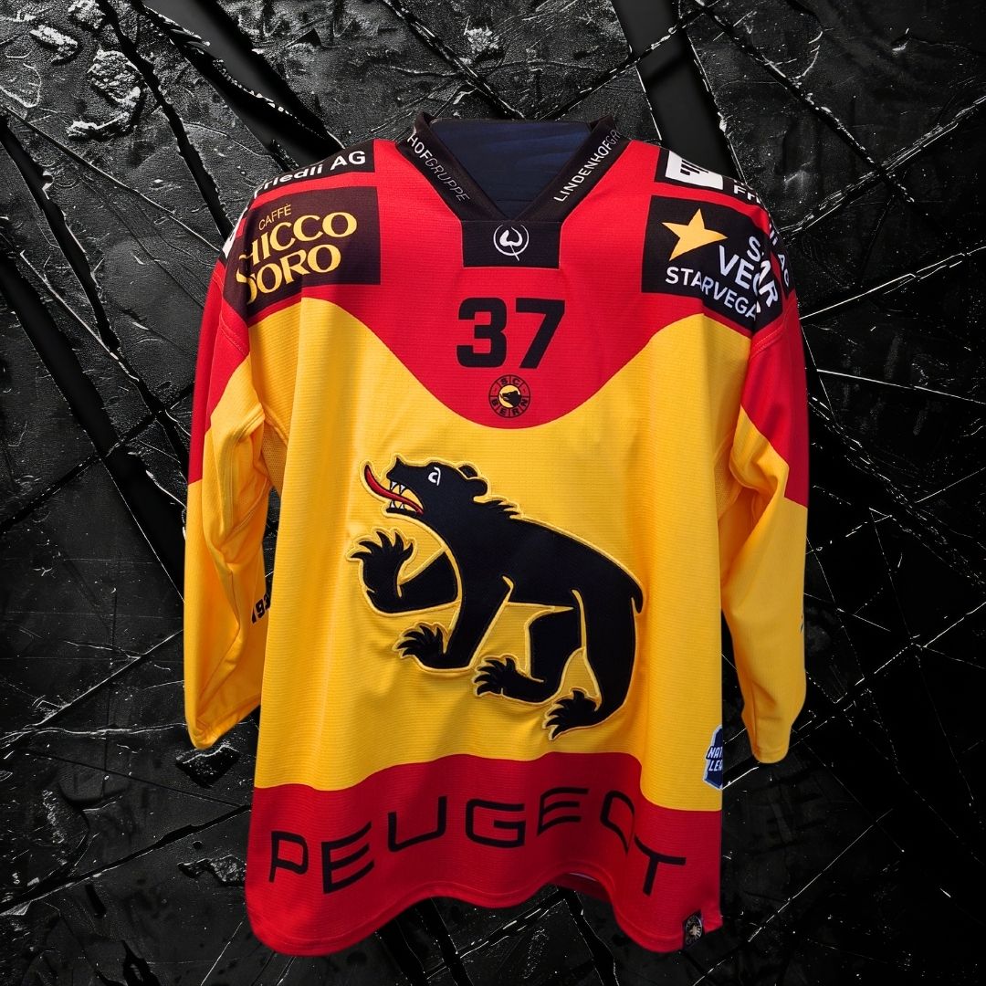 Matchworn Dress Jubiläumsspiel #37 Anton Lindholm