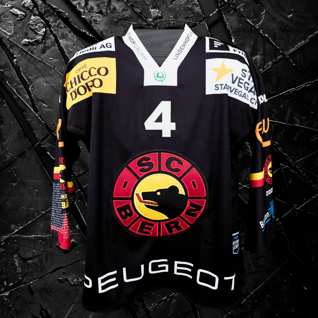 Gameworn Dress #4 Hardy Häman Aktell