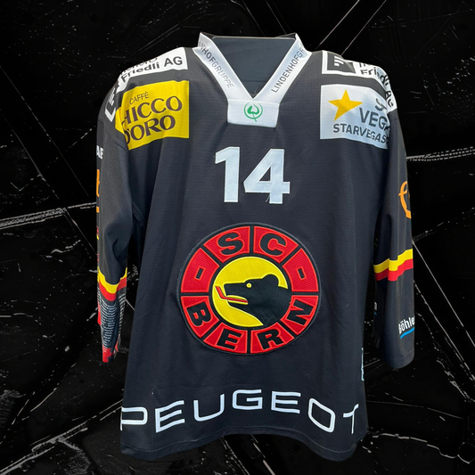 Gameworn Dress Louis Füllemann