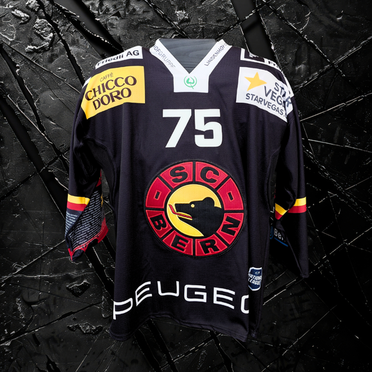 Gameworn Dress #75 Aleksandr Iakovenko