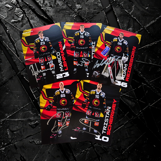 SCB Autogrammkarten-Set 25/26 Männer