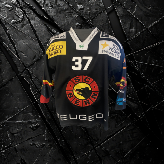 Gameworn Trikot von Anton Lindholm